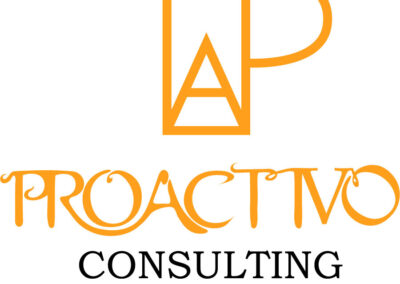 ProActivo Consulting Construct