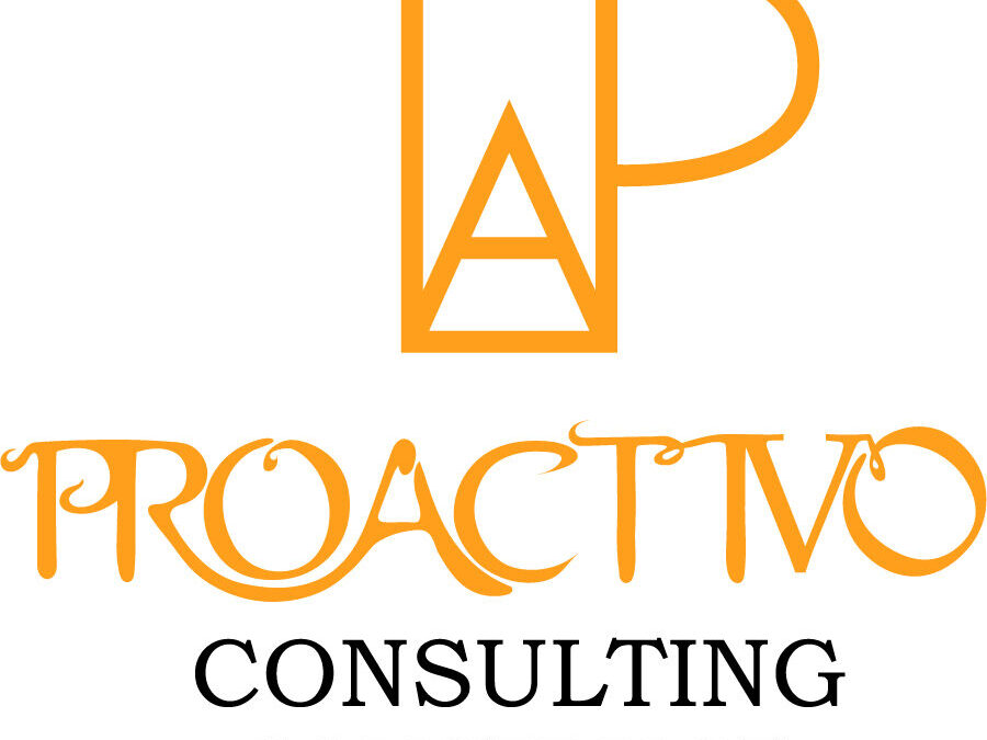ProActivo Consulting Construct